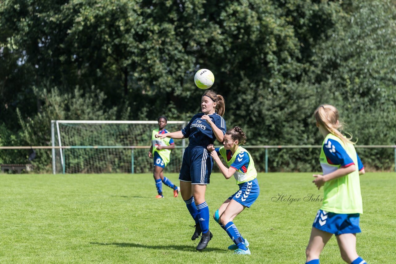 Bild 297 - B-Juniorinnen VfL Pinneberg - HSV : Ergebnis: 1:4